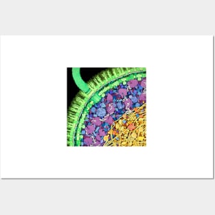Escherichia coli, artwork (B230/0244) Posters and Art